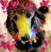 Michelle Hohn - Facebook