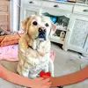 Michele Homer - @michele.homer - TikTok