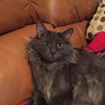 Michelle Horrocks - @horrocksmichelle - Instagram