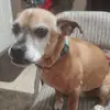 michelle hulbert - @michelle.hulbert5 - TikTok