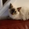 michelle thirion ♡ - @michelle.thirion - TikTok