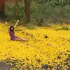 Michelle Jacobo - @michellejacobo31 - TikTok