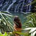 Michelle Janda - Facebook