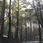 Michelle Jeffs - @jeffsmichelle - Instagram