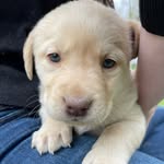 Michelle Jeffs - @mychellespics - Instagram