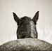 Michelle Jespersen - Facebook