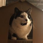 Michelle Jespersen - @buster_plus_ultra - Instagram