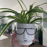 Michelle | Just Another Plant Mom - @just.another.plant.mom - Instagram
