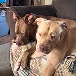 Farrah Michel’le and Matrix Kanan - @farrah_and_matrix - Instagram