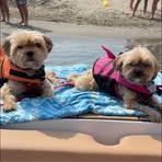 Michelle Colito Kappen - Facebook