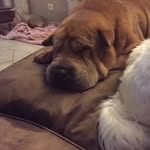 Michellekappert23 - @michellekappert23 - Instagram