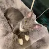 Michelle Karch - @michellekarch - TikTok