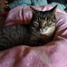 Michelle Karch - Facebook