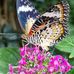 Michele Karst - Facebook