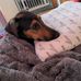 Michelle Kasel - Facebook