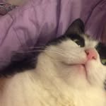 michelle - @michelle.kavanaghx - Instagram
