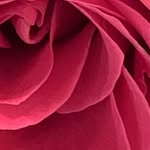 Michelle Kellerman Deimeyer - @michelledeimeyer - Instagram