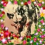 Michelle Kellermann - @michelle.kellermann.1 - Instagram