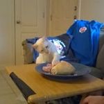 Michelle Shear Kerner - @michelleshearkerner - Instagram