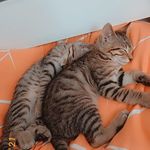 Michelle Ketterer - @ketterer.michelle - Instagram
