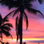 Tracey M Ketterer - @traceymichelleketterer - Instagram