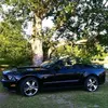 michaelkibodeaux - @michaelkibodeaux - TikTok