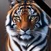 Michele Kiger - Facebook