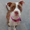 michellekillam - @michellekillam - TikTok