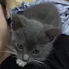Michelle Kinateder - @michellekinateder - TikTok