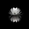 blackveilbrides346 - @michellekincaid20 - TikTok