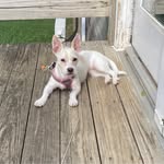 Michelle Fretts Kinter - @mkinter3 - Instagram