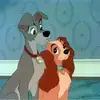 michelleklassen55 - @michelleklassen55 - TikTok