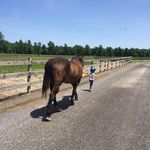 Michelle Klinedinst - @southerndelawarecooking - Instagram
