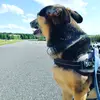 michelleklinkner - @michelleklinkner - TikTok
