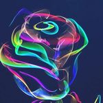 Michelle Knauer - @knauermichelle - Instagram