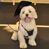 micheleknous - @micheleknous - TikTok