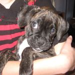 Michelle Koger - @michelle.koger.77 - Instagram