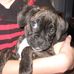 Michelle Koger - Facebook