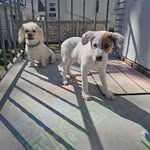 Michelle Korte - @mama2umma - Instagram