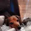 michellekostlich - @michellekostlich - TikTok