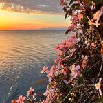 Michelle Krahn - @krahn63 - Instagram
