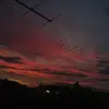 Michelle Krings - @michellekrings2 - TikTok