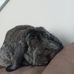 Michelle Kulp - Facebook