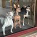 Michele Kyser - Facebook