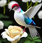 Michelle Lacombe - Facebook
