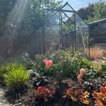 Michelle Laing - @greenlea_cottage_garden - Instagram