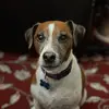 Michelle Lambeth - @michelle.lambeth5 - TikTok