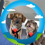 Michelle Lamm - @michelle.lamm.12 - Instagram