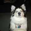 michellelamm209 - @michellelamm209 - TikTok