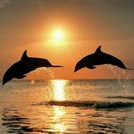 michelle lamp - @michellelamp2004 - Instagram